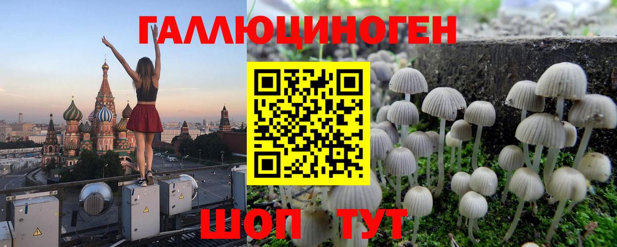 Тавда  Галлюциногенные грибы прущие грибы  Вход с VPN 